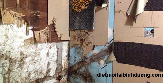 diet moi tai tan bien